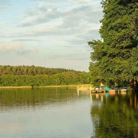 Rohrdommel - Seeoase Am Loopiner *